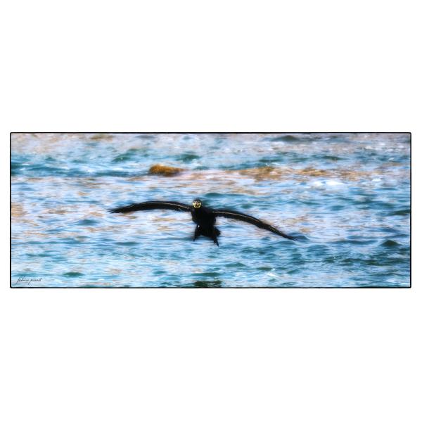 PHOTO84, CLUB, 84 , LUBERON